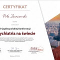 Powiększ obraz: certificate 13
