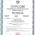 Powiększ obraz: certificate 3