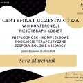Powiększ obraz: certificate 2