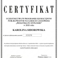 Powiększ obraz: certificate 2