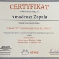 Powiększ obraz: certificate 12