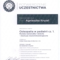 Powiększ obraz: certificate 3