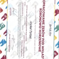 Powiększ obraz: certificate 4