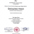 Powiększ obraz: certificate 5