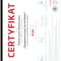 Powiększ obraz: certificate 8