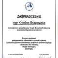 Powiększ obraz: certificate 2