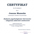 Powiększ obraz: certificate 6