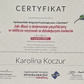 Powiększ obraz: certificate 4