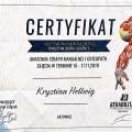 Powiększ obraz: certificate 5