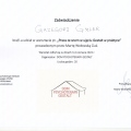 Powiększ obraz: certificate 9