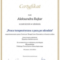 Powiększ obraz: certificate 15