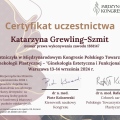 Powiększ obraz: certificate 14