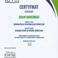 Powiększ obraz: certificate 17