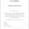 Powiększ obraz: certificate 13