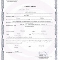 Powiększ obraz: certificate 23