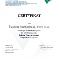 Powiększ obraz: certificate 2