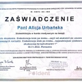 Powiększ obraz: certificate 1