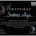 Powiększ obraz: certificate 8