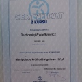 Powiększ obraz: certificate 12