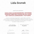 Powiększ obraz: certificate 6