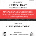 Powiększ obraz: certificate 2
