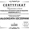 Powiększ obraz: certificate 2
