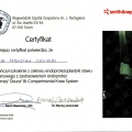 Powiększ obraz: certificate 15