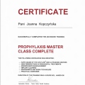 Powiększ obraz: certificate 2