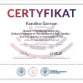 Powiększ obraz: certificate 4