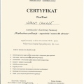 Powiększ obraz: certificate 7
