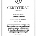Powiększ obraz: certificate 2