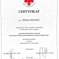 Powiększ obraz: certificate 6