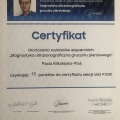 Powiększ obraz: certificate 13