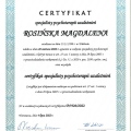 Powiększ obraz: certificate 2