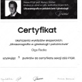 Powiększ obraz: certificate 4