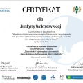 Powiększ obraz: certificate 15