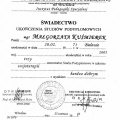 Powiększ obraz: certificate 4