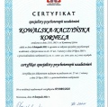 Powiększ obraz: certificate 2