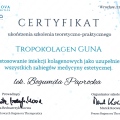 Powiększ obraz: certificate 13