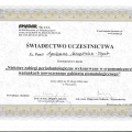 Powiększ obraz: certificate 2
