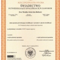 Powiększ obraz: certificate 11