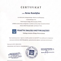 Powiększ obraz: certificate 2