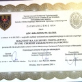 Powiększ obraz: certificate 41