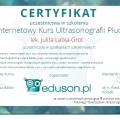 Powiększ obraz: certificate 1