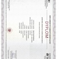 Powiększ obraz: certificate 1