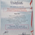 Powiększ obraz: certificate 21