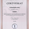 Powiększ obraz: certificate 2