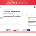 Powiększ obraz: certificate 1