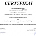 Powiększ obraz: certificate 1