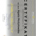 Powiększ obraz: certificate 1
